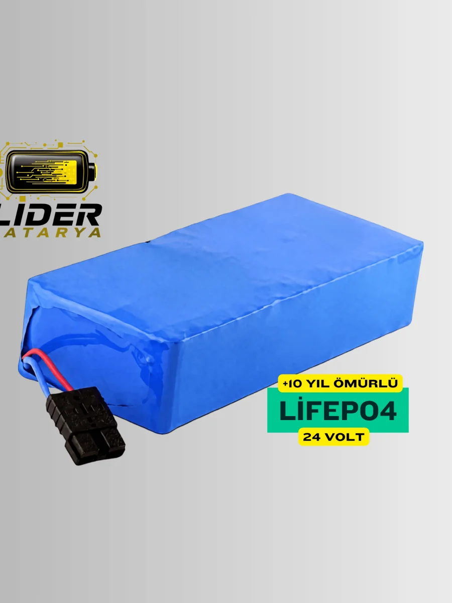 24 Volt 60 Amper